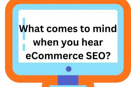 What is ecommerce seo?